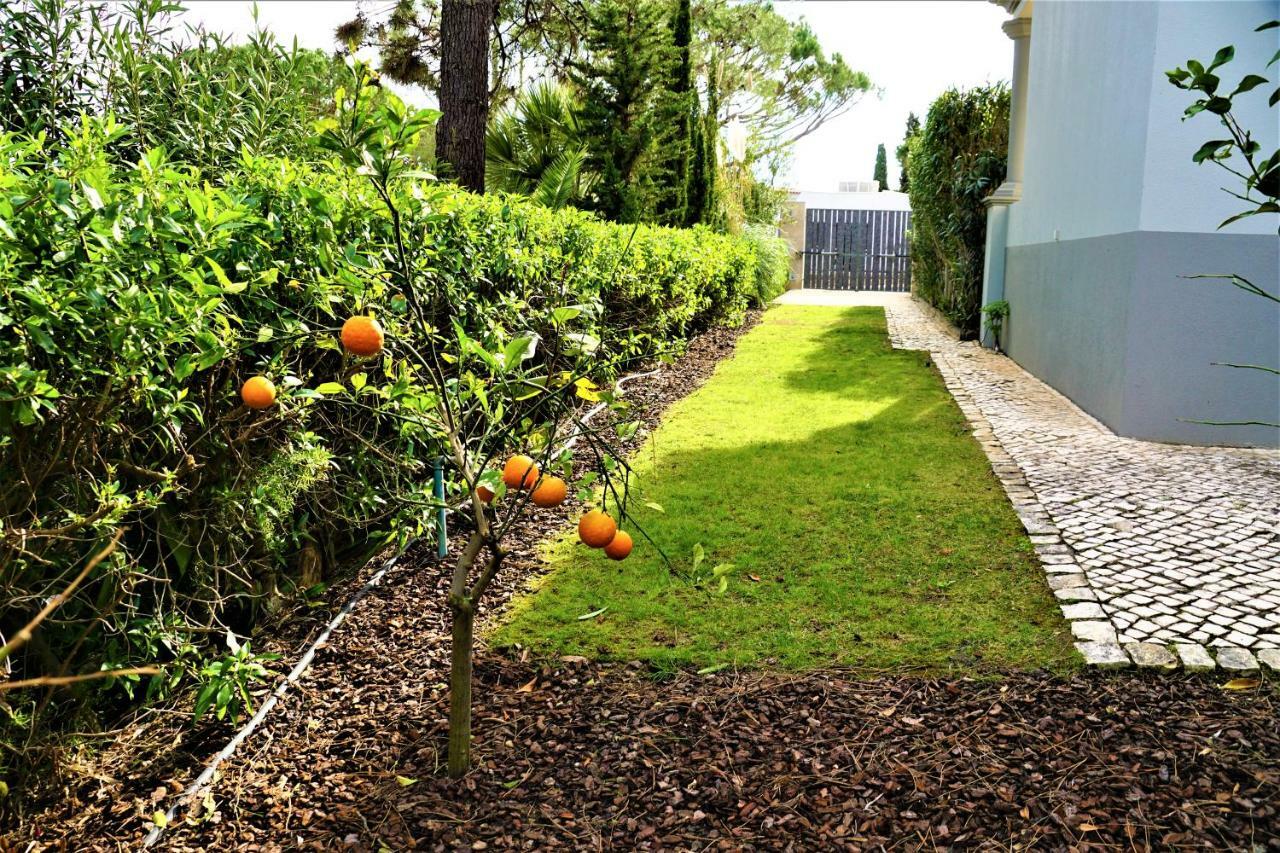 Charming Exceptional Golf Villa In Algarve Faro Ngoại thất bức ảnh